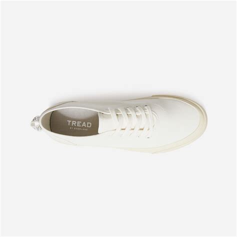 everlane white sneakers.